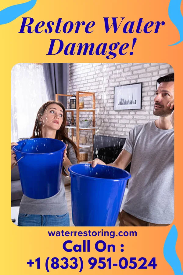 water restoration Empire Water Damage Experts Wailea