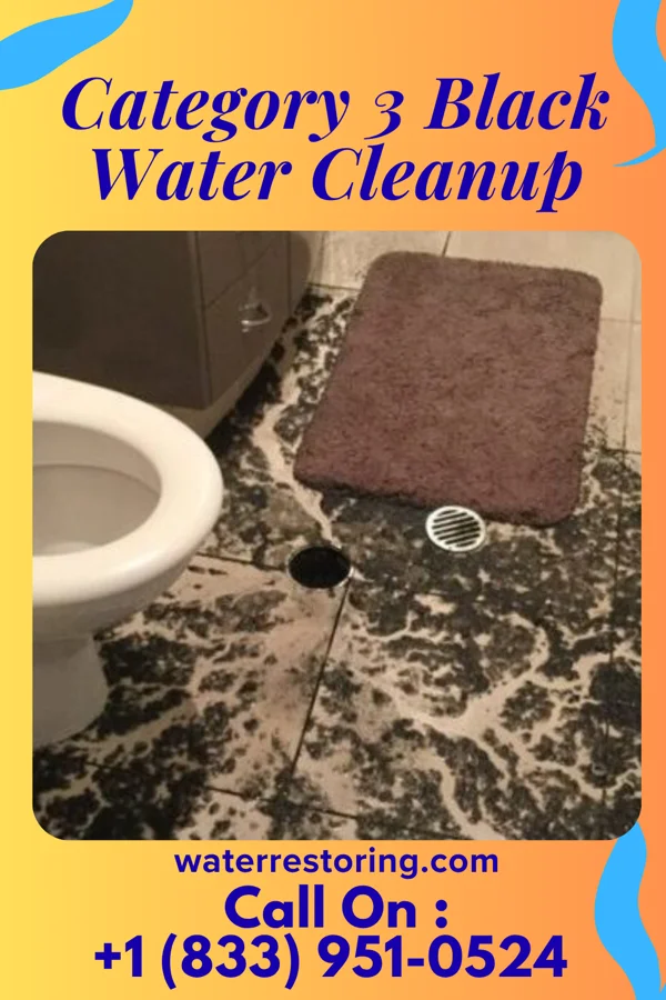Category 3 Black Water Cleanup in Wailea, HI