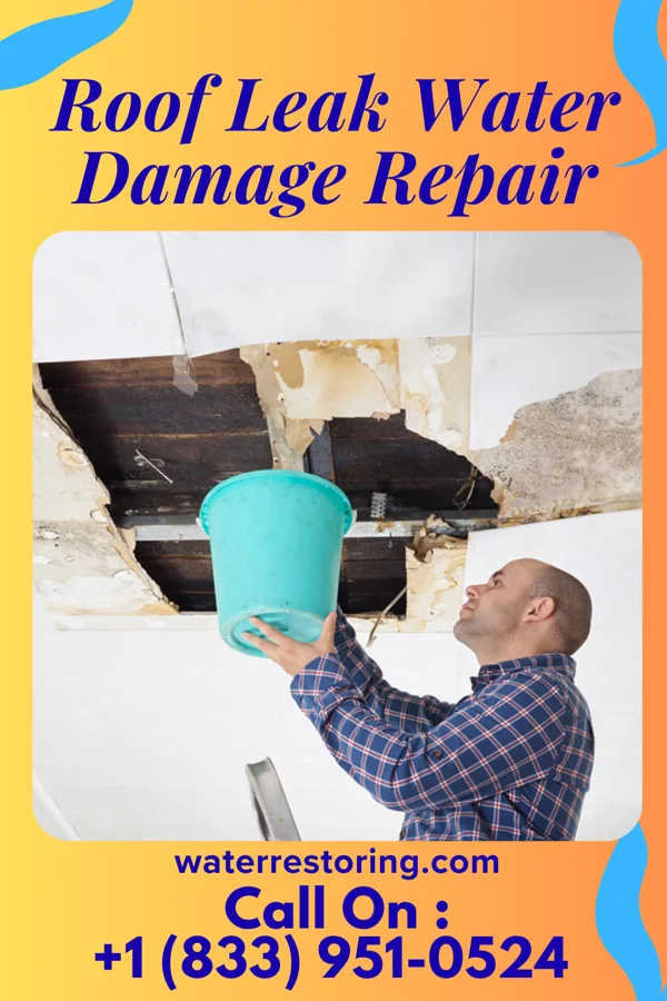 Roof Leak Water Damage Repair in Wailea, HI