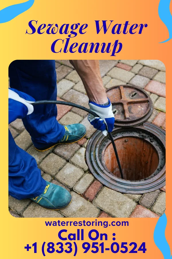Sewage Water Cleanup in Wailea, HI